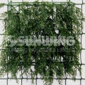 Sunwing cedar leaf hedge fence for garden wall use